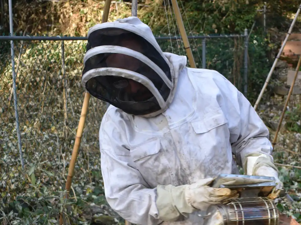 Apiculteur MIELCO inspectant une ruche en forêt